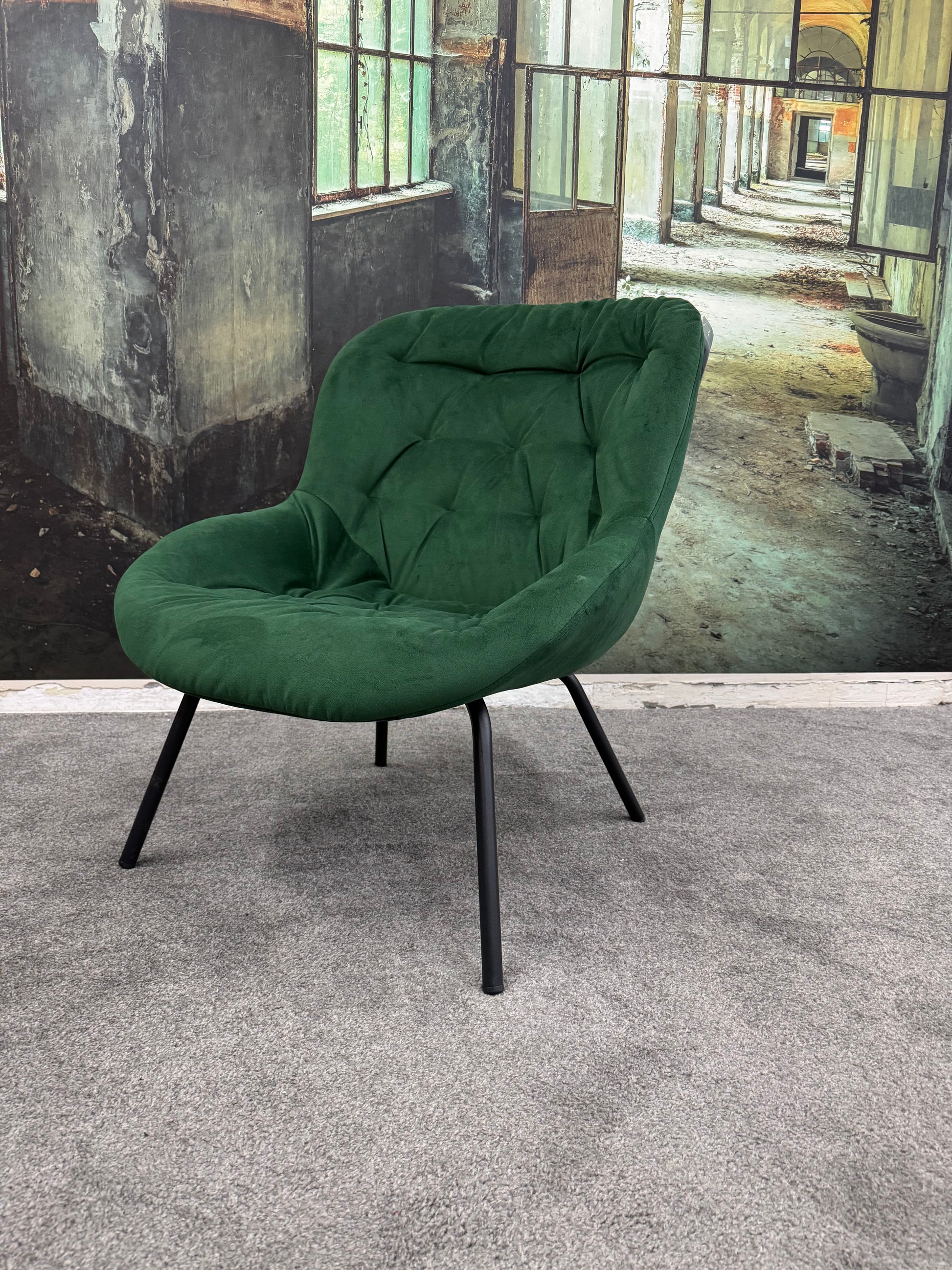 Sessel +Stuhl +Loungsessel +verschiedene Farben +Neu auf Lager – möbel-outlet-24